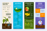 Agricultural Vertical Infographics Templates