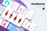 Anatomy Illustrator Infographic Template