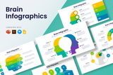 Brain Infographic Templates
