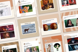 Gif and Meme Posts Templates for CANVA