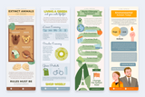Global Warming Vertical Infographics Templates