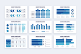 Budget Forecasting Illustrator Infographic Template