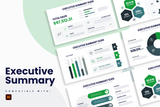 Executive Summary Illustrator Infographic Template
