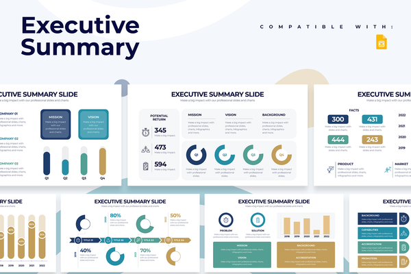 Executive Summary Google Slides Infographic Template