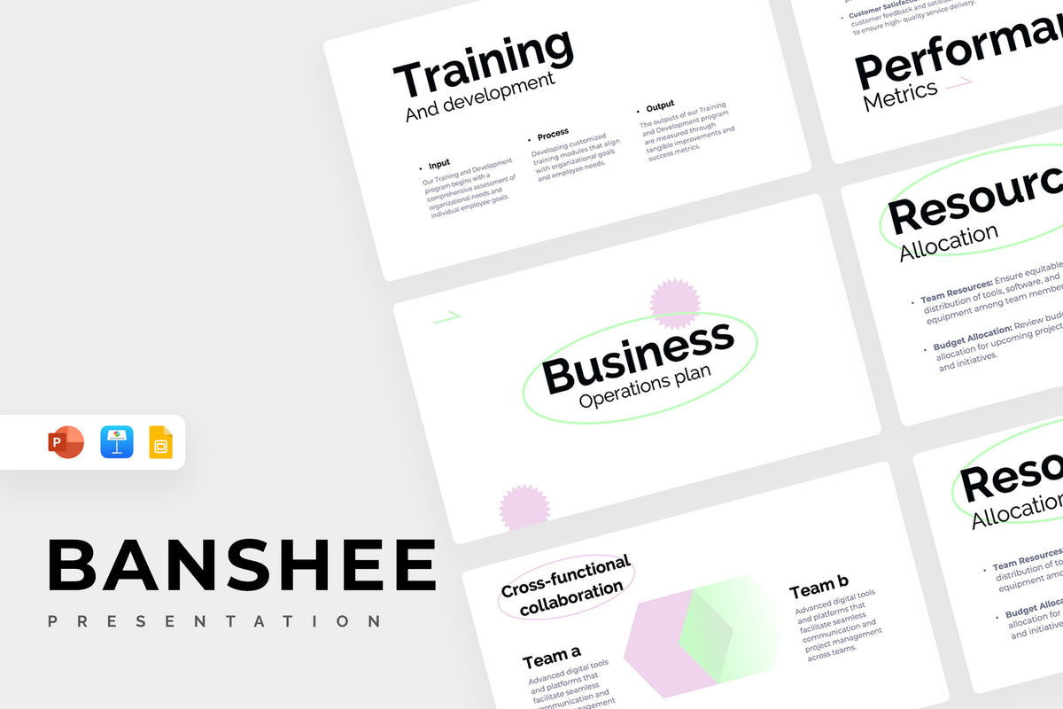 Banshee Business Operations Plan Presentation