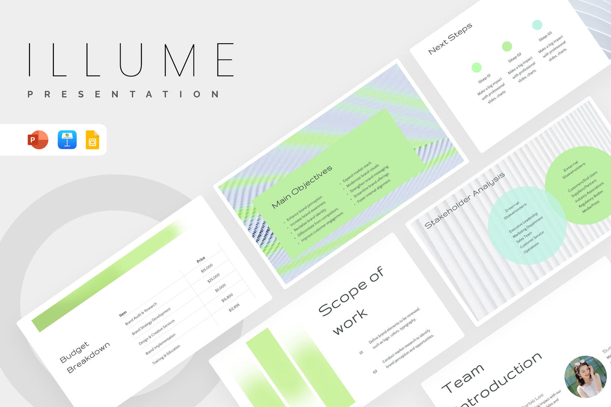 Illume Detailed Project Execution Plan Presentation