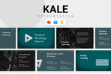 Kale Product Strategy Report Presentation