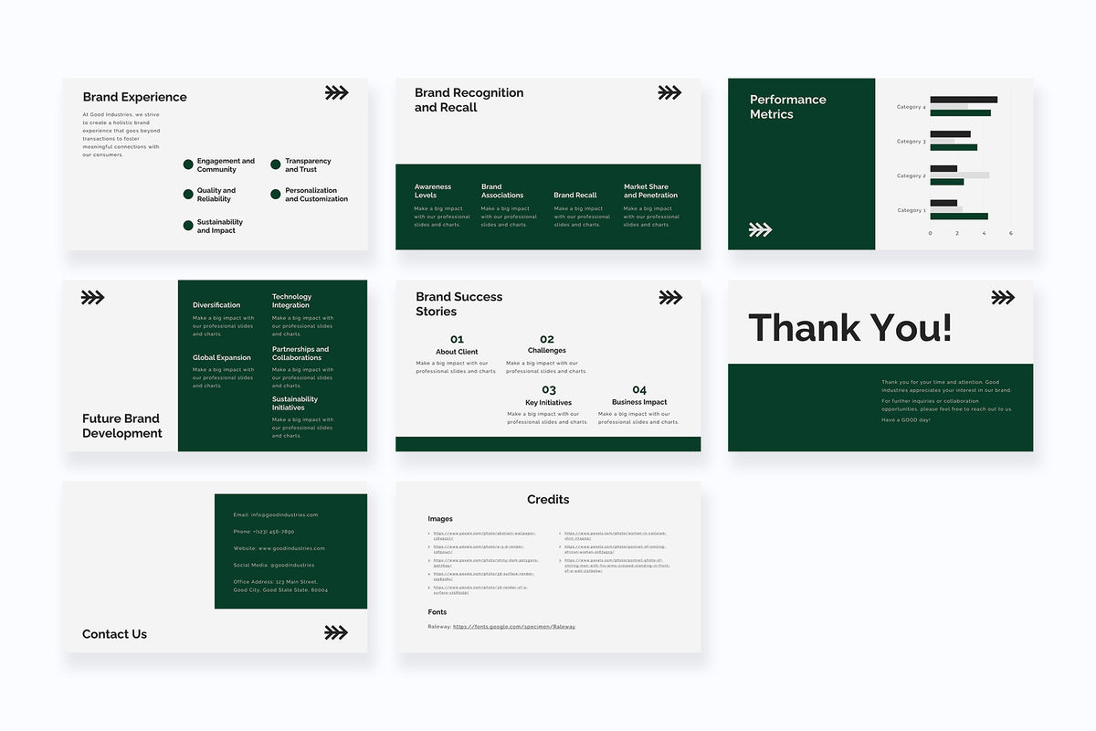 Salus Rebranding Project Plan Presentation