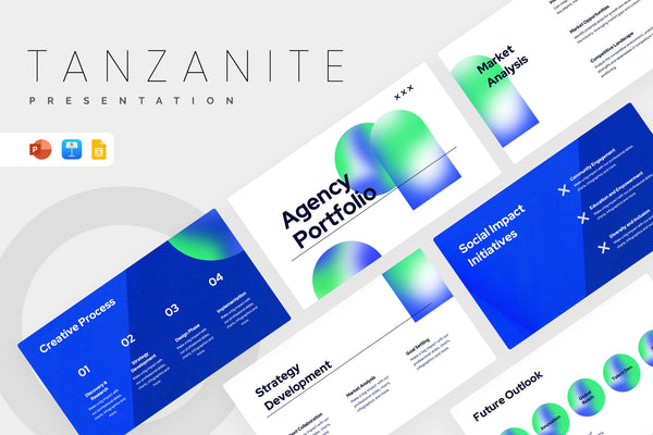 Tanzanite Full-Service Agency Project Plan Presentation