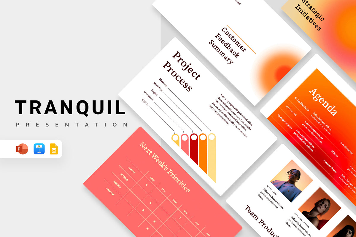 Tranquil Project Status Report Presentation