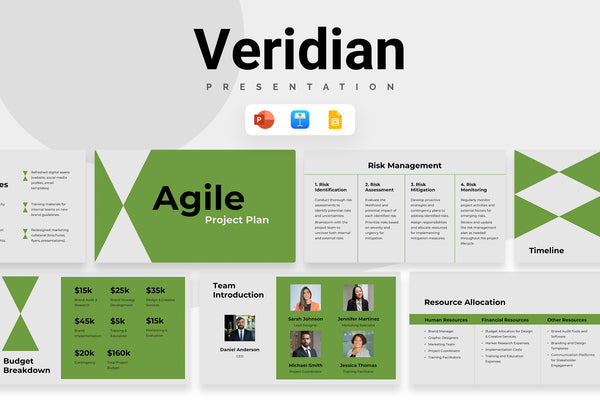 Veridian Agile Project Plan Presentation