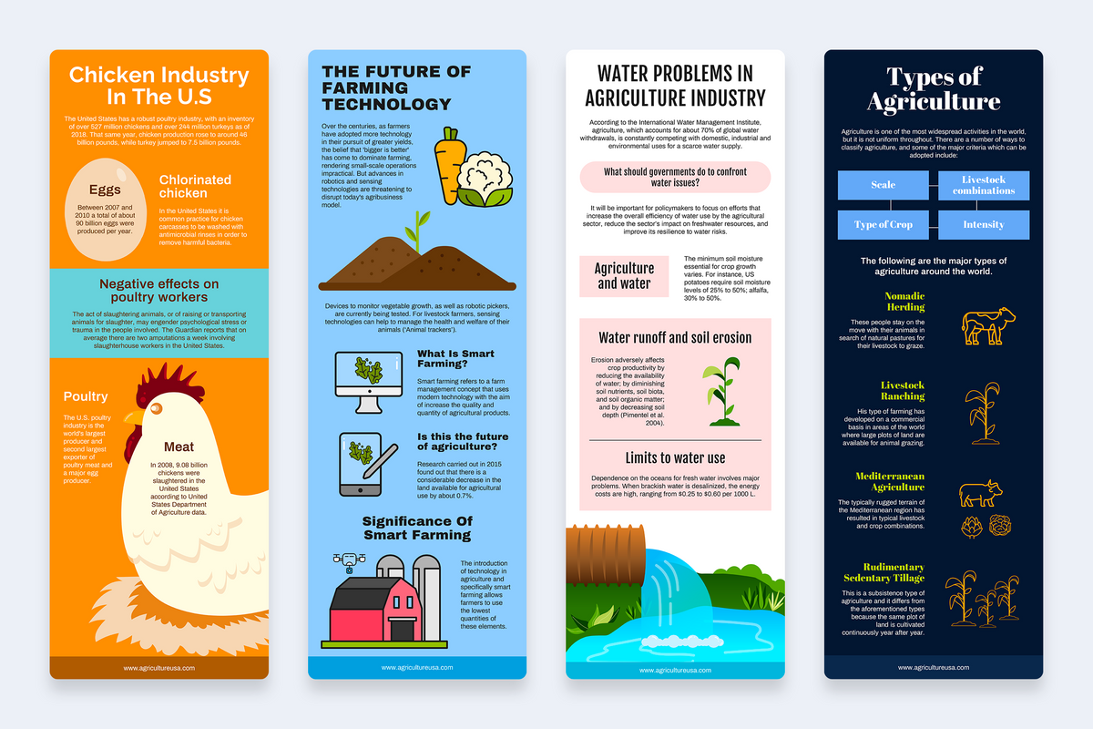 Agricultural Vertical Infographics Templates