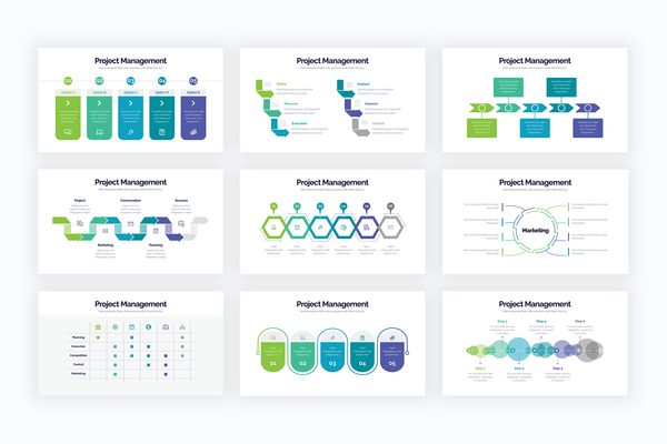 Project Management Illustrator Infographics